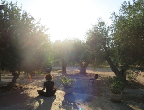 MINDFUL MOVEMENT